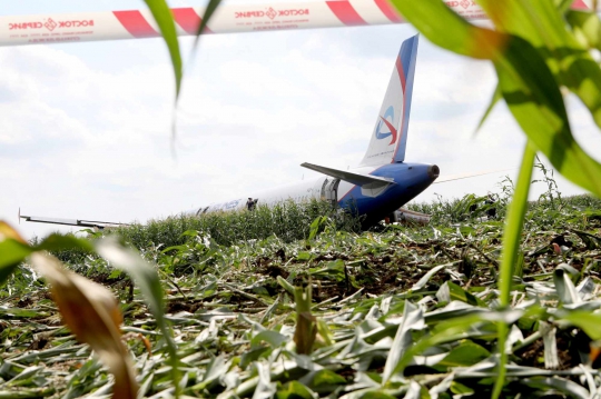 Tabrak Burung, Pesawat Rusia Mendarat Selamat di Ladang Jagung