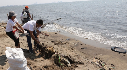 Peringati HUT ke-74 RI, Menteri Susi dan Relawan Bersihkan Sampah di Pantai Anc