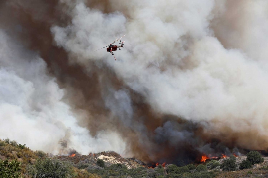5 Kebakaran Hutan Terdahsyat dan Terparah di Dunia