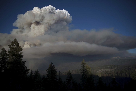5 Kebakaran Hutan Terdahsyat dan Terparah di Dunia