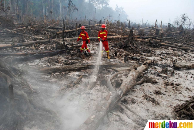 Foto 5 Kebakaran Hutan Terdahsyat dan Terparah di Dunia
