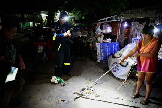 Melihat Aksi Pemburu Ular Piton dan Cobra di Bangkok