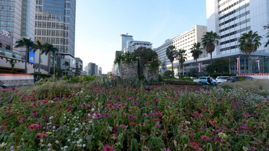 Wujud Batu Bronjong, Landmark Baru di Kawasan Bundaran HI