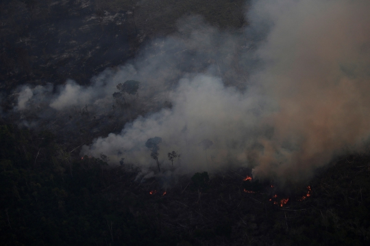 Pantauan Udara Kebakaran Hutan Amazon, Terparah Sepanjang Sejarah
