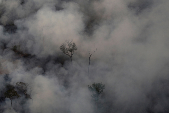 Pantauan Udara Kebakaran Hutan Amazon, Terparah Sepanjang Sejarah