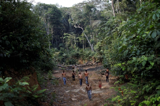 Potret Aktivitas Penduduk Asli Hutan Amazon