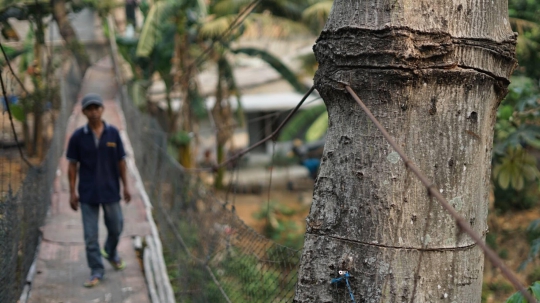 Kondisi Memprihatinkan Jembatan Gantung di Srengseng Sawah