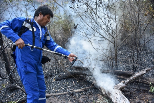 Aksi Presiden Bolivia Turun Tangan Padamkan Kebakaran Hutan