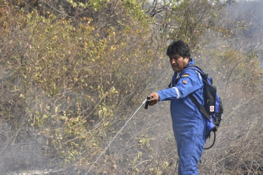 Aksi Presiden Bolivia Turun Tangan Padamkan Kebakaran Hutan