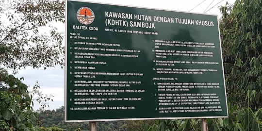 Menengok Akses Ibu Kota Baru di Kalimantan Timur