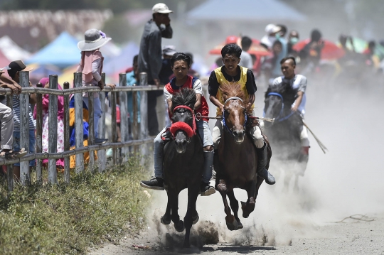 Melihat Keseruan Pacuan Kuda Tradisional di Aceh