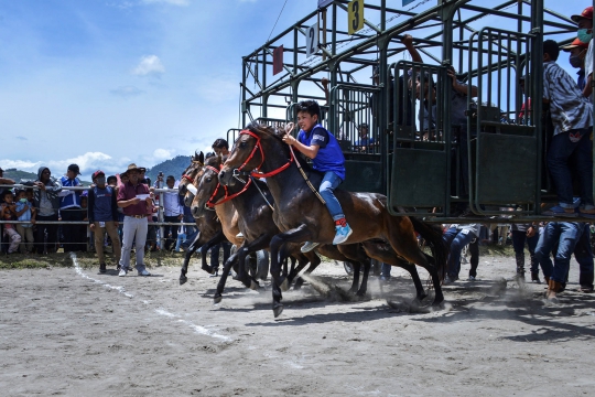 Melihat Keseruan Pacuan Kuda Tradisional di Aceh