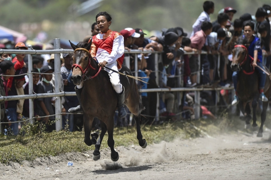 Melihat Keseruan Pacuan Kuda Tradisional di Aceh