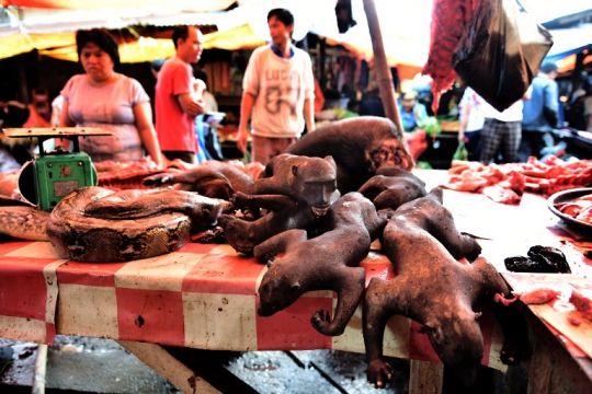 Pasar-pasar Tradisional yang Bikin Merinding hingga Membahayakan Nyawa di Dunia