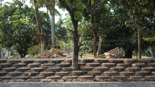 Memanfaatkan Ban Bekas Jadi Turap Kali Ancol
