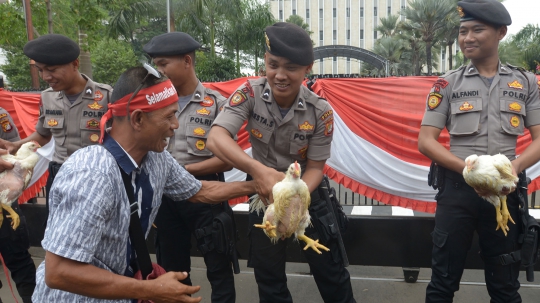 Harga Ayam Anjlok, Peternak Geruduk Kantor Darmin Nasution