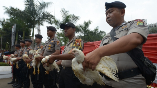 Harga Ayam Anjlok, Peternak Geruduk Kantor Darmin Nasution