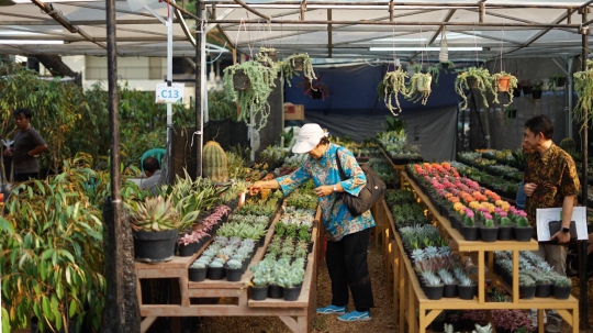 Pameran Flona 2019 Kembali Digelar di Lapangan Banteng