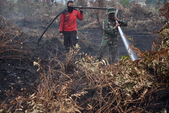 Aksi Prajurit TNI dan BPBD Padamkan Kebakaran Hutan di Kampar