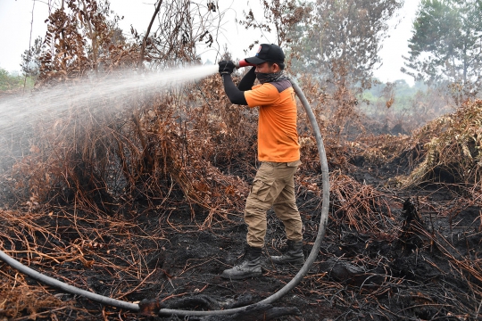 Aksi Prajurit TNI dan BPBD Padamkan Kebakaran Hutan di Kampar