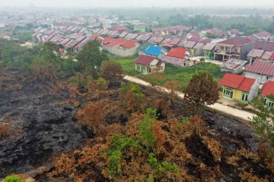 Pantauan Udara Kondisi Lahan Gambut di Riau yang Hangus Terbakar