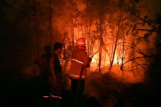 Perjuangan Petugas Berjibaku Padamkan Karhutla Pekanbaru di Kegelapan