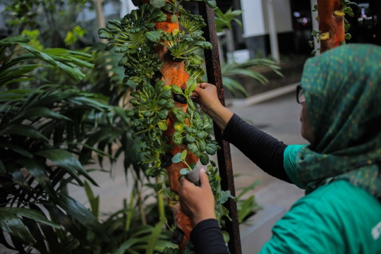 Balkot Farm, Percontohan Pertanian Perkotaan di Area Perkantoran