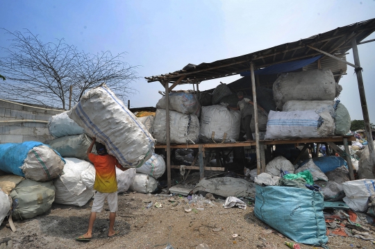 Melihat Pengolahan Plastik dari Pemulung Jadi Bahan Daur Ulang