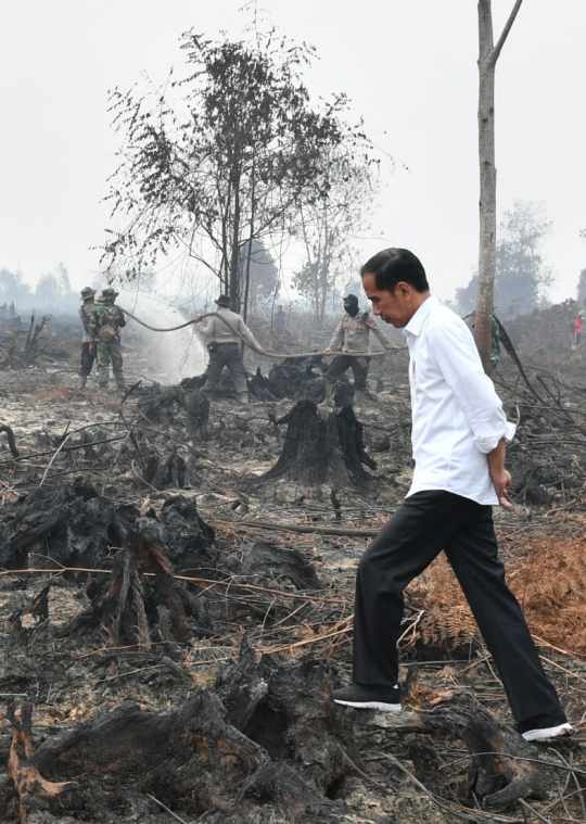 Raut Wajah Jokowi Saat Blusukan ke Lokasi Kebakaran Hutan Riau