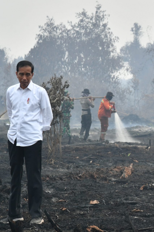 Raut Wajah Jokowi Saat Blusukan ke Lokasi Kebakaran Hutan Riau