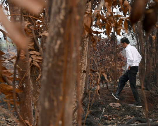 Raut Wajah Jokowi Saat Blusukan ke Lokasi Kebakaran Hutan Riau