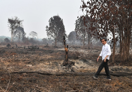 Raut Wajah Jokowi Saat Blusukan ke Lokasi Kebakaran Hutan Riau