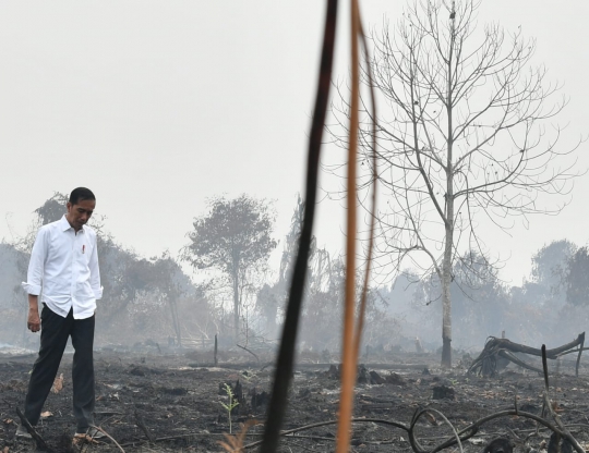 Raut Wajah Jokowi Saat Blusukan ke Lokasi Kebakaran Hutan Riau