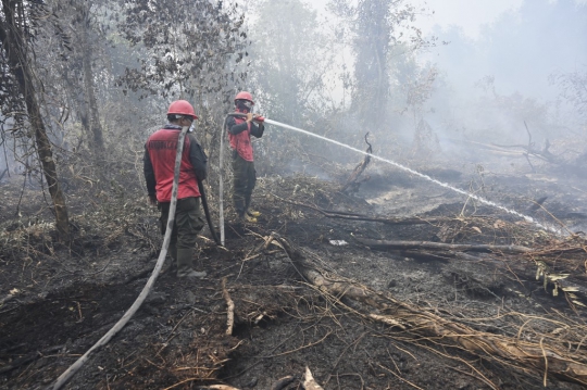 Perjuangan Petugas Terus Padamkan Kebakaran Hutan dan Lahan di Riau