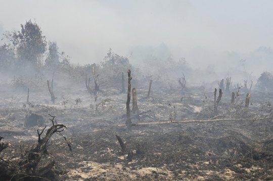 Perjuangan Petugas Terus Padamkan Kebakaran Hutan dan Lahan di Riau