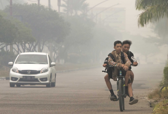 Penampakan Asap Kebakaran Hutan Kalimantan dari Luar Angkasa