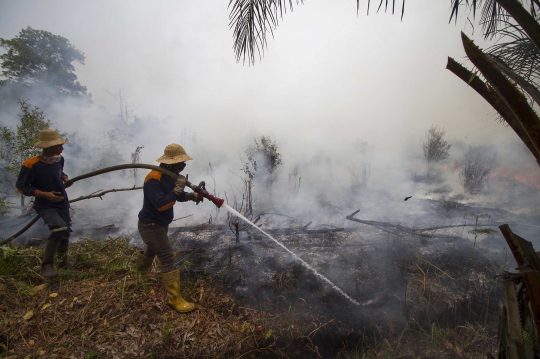 Penampakan Asap Kebakaran Hutan Kalimantan dari Luar Angkasa