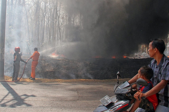 Kebakaran Lalap Hutan Jati di Semarang