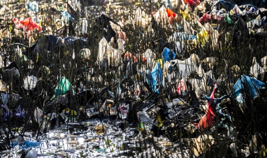 Hari Bersih-Bersih Sedunia, Anak-Anak Semangat Punguti Sampah di Surabaya