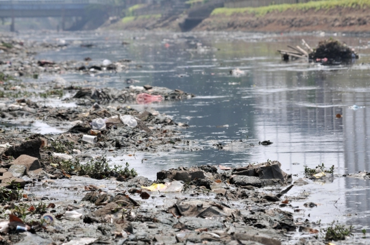 Aliran Kanal Banjir Barat Menghitam dan Penuh Sampah