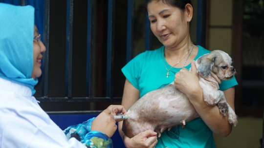 Peringati Hari Rabies Sedunia, Anjing dan Kucing di DKI Gratis Vaksinasi