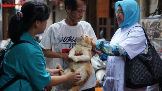 Peringati Hari Rabies Sedunia, Anjing dan Kucing di DKI Gratis Vaksinasi