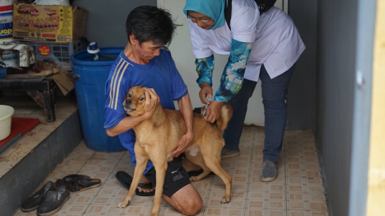 Peringati Hari Rabies Sedunia, Anjing dan Kucing di DKI Gratis Vaksinasi