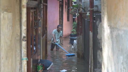 Banjir Kiriman dari Bogor Rendam Kebon Pala