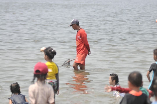 Fenomena Kawanan Ubur-ubur Bermunculan di Pantai Ancol