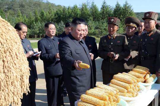 Wajah Semringah Kim Jong-un Meninjau Hasil Panen Pertanian