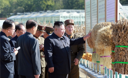 Wajah Semringah Kim Jong-un Meninjau Hasil Panen Pertanian