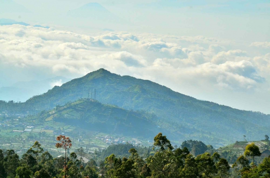 Tradisi Berbagi Tembakau Petani Gunung Slamet