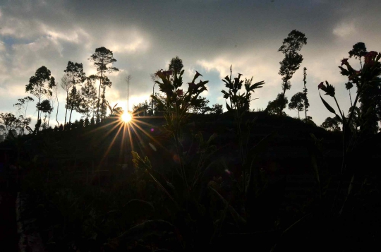 Tradisi Berbagi Tembakau Petani Gunung Slamet