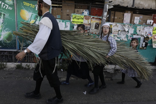 Festival Sukkot, Umat Yahudi Berburu Ranting untuk Bikin Gubuk